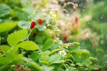 Similar image 21285335