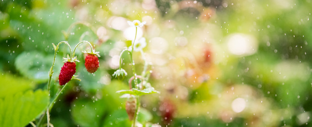 Similar image 21285336