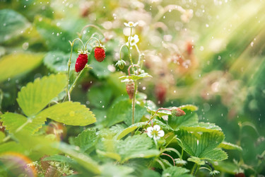 Similar image 21285337