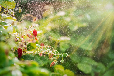 Similar image 21285341