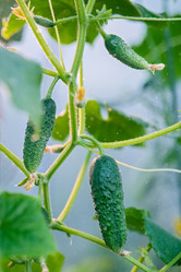 Similar image 21285343