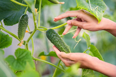 Similar image 21285344