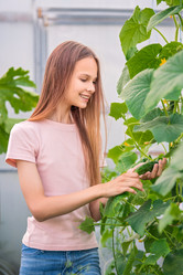 Similar image 21285346