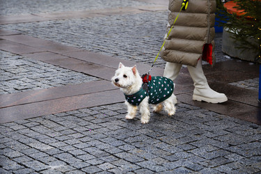 Similar image 21284114