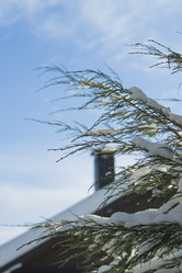 Similar image 21290824