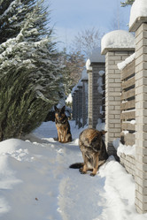 Similar image 21290834