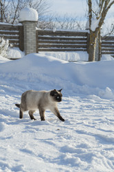 Similar image 21290844