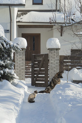 Similar image 21290846