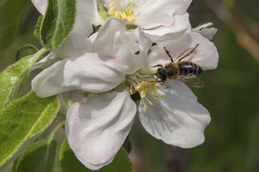 Similar image 21285651