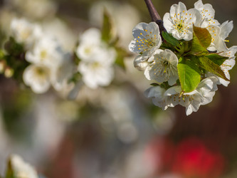 Similar image 21285657