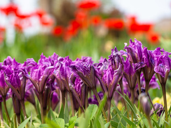 Similar image 21285659