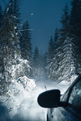 Similar image 21283985