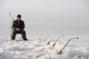 Similar image 21284001