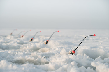 Similar image 21284003