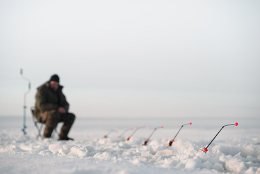 Similar image 21284004