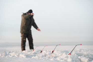 Similar image 21284005