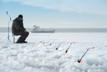 Similar image 21284006