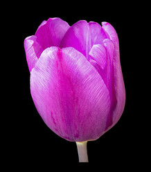 Similar image 21285663