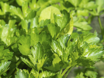 Similar image 21285667