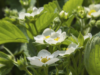 Similar image 21285668