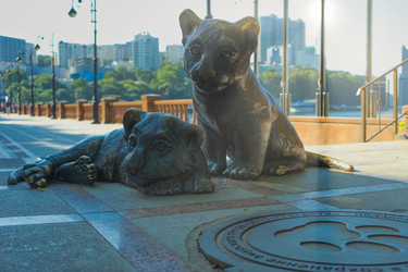 Similar image 21284054