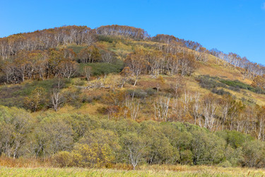 Similar image 21284135