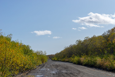 Similar image 21284137