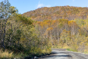 Similar image 21284138