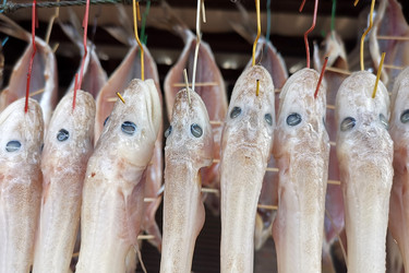 Similar image 21284068