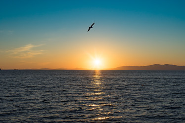 Similar image 21284141