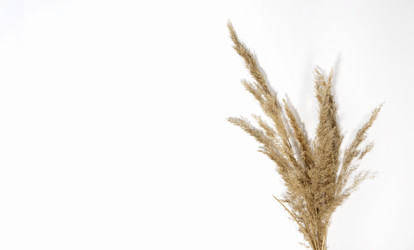 Similar image 21287538