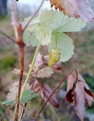 Similar image 21284161