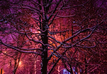 Similar image 21285389