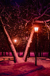 Similar image 21285390