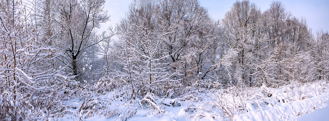 Similar image 21285395