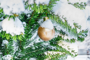 Similar image 21285398