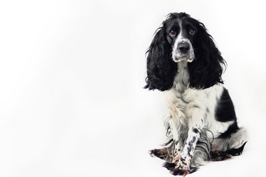 Similar image 21285423