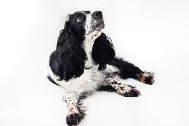 Similar image 21285424