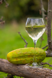 Similar image 21285705