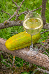 Similar image 21285706