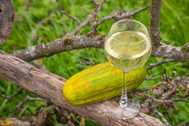 Similar image 21285707