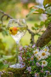 Similar image 21285709