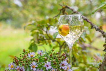 Similar image 21285713