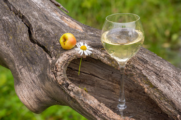 Similar image 21285719