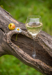 Similar image 21285722