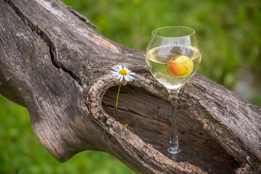 Similar image 21285723