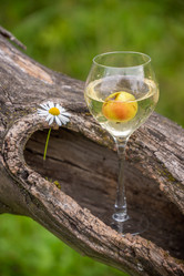 Similar image 21285724