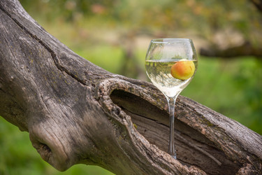 Similar image 21285726