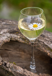 Similar image 21285728