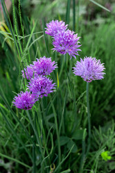 Similar image 21285973